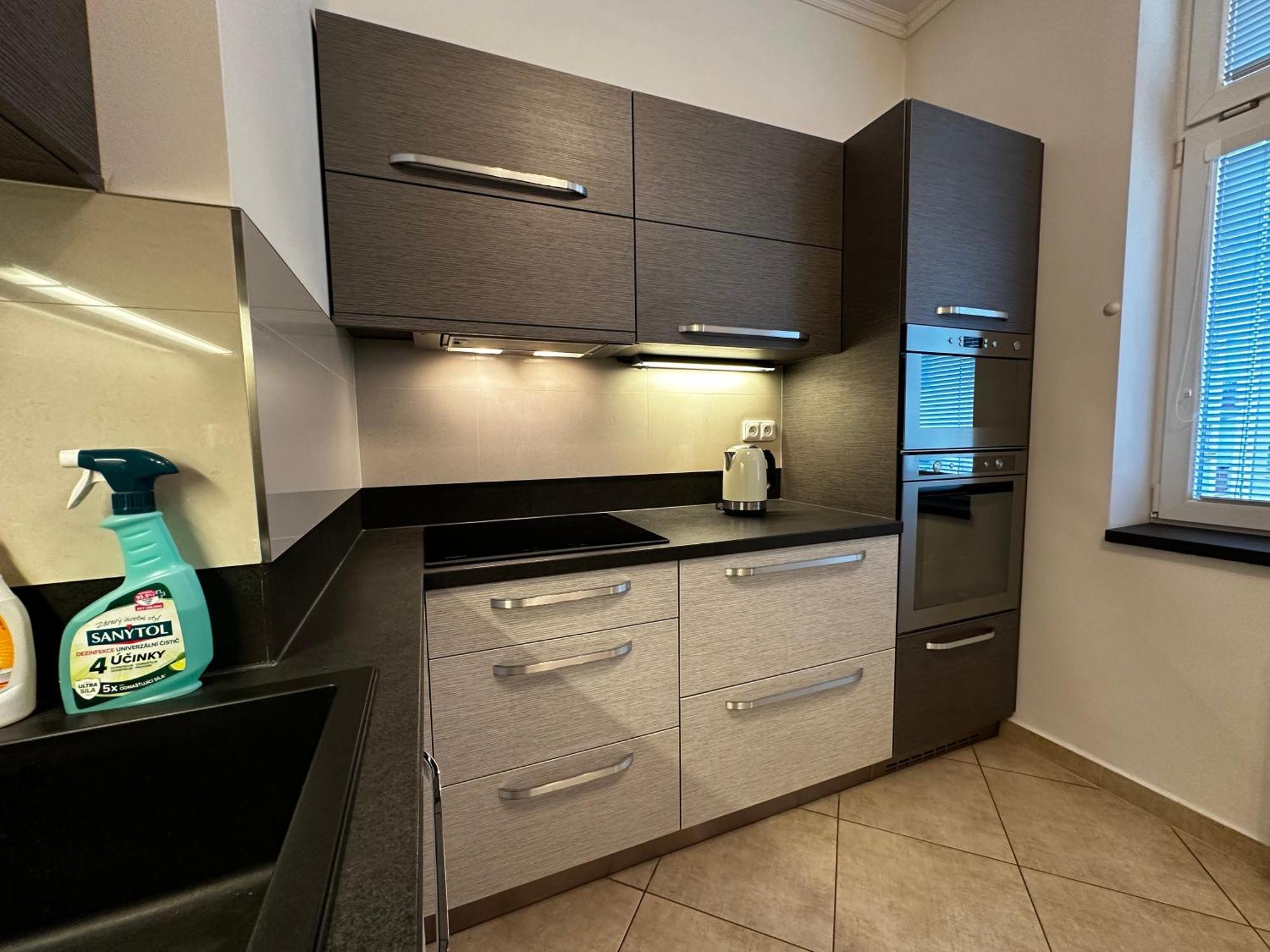 Apartmán Karla Capka Street