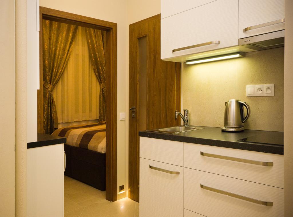 Apartment Apartment Karla Capka Street Karlovy Vary
