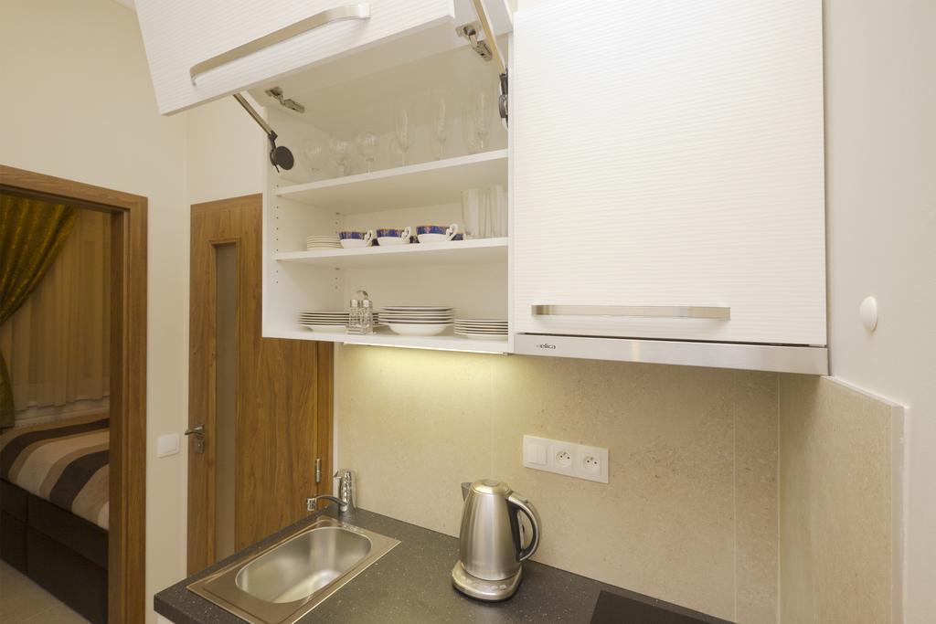 Apartment Karla Capka Street Apartment Karlovy Vary