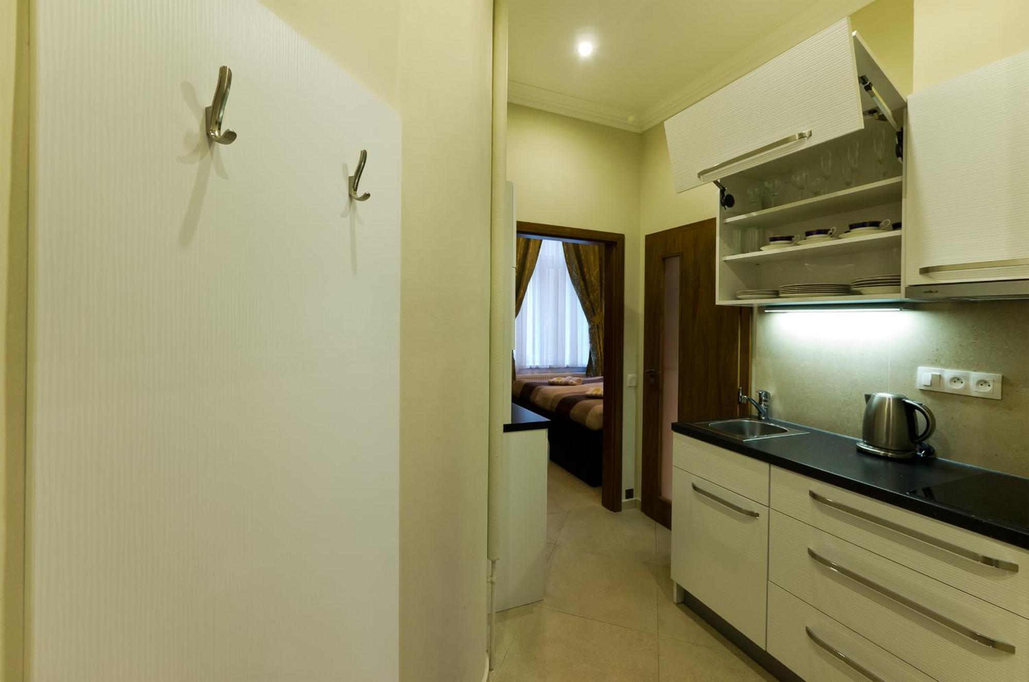 Apartment Karla Capka Street *