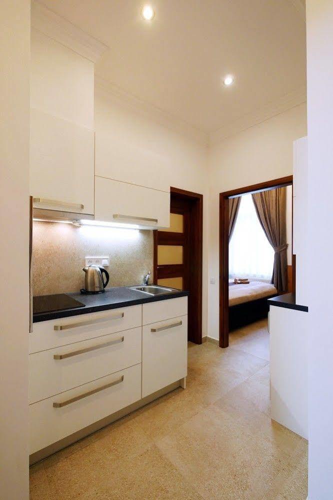 Apartment Karla Capka Street Apartment